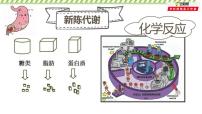 高中生物高考专题12 酶-2021年高考生物一轮复习知识精讲课件