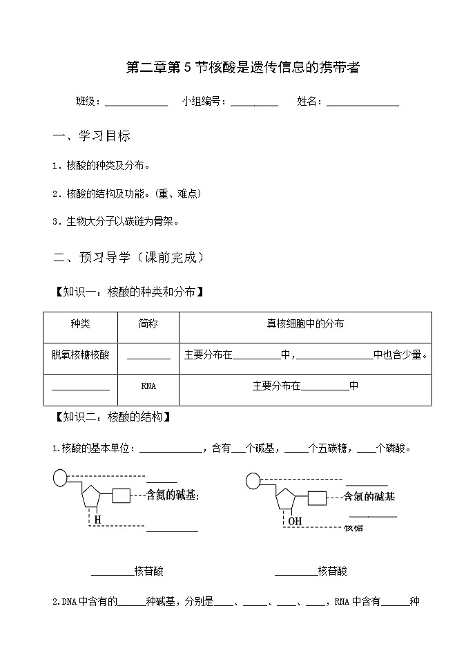 高中生物第一册 (学案)第二章第5节核酸是遗传信息的携带者第1页