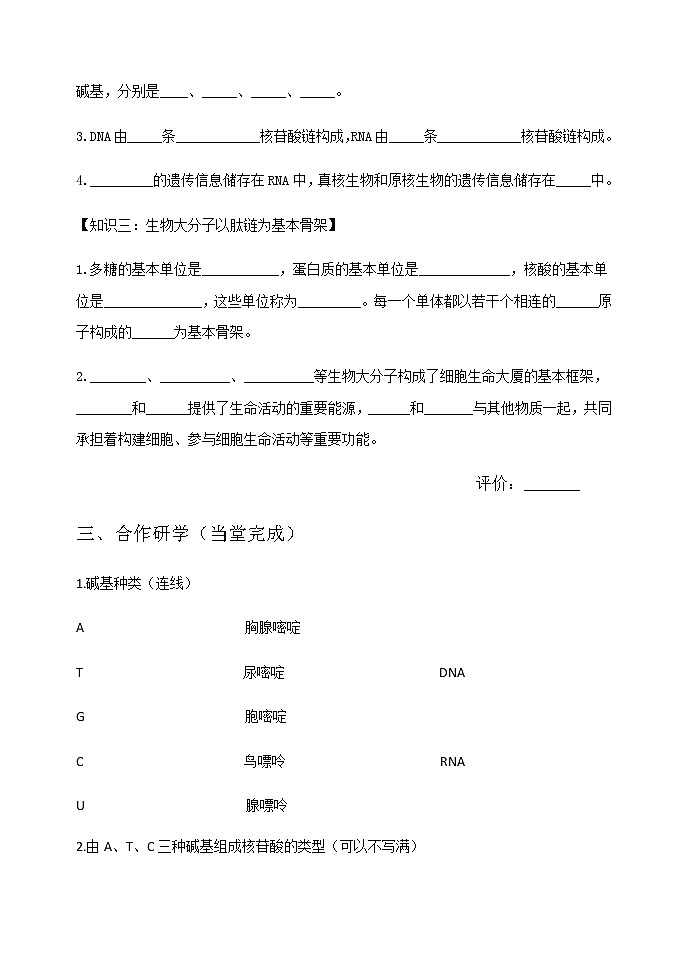 高中生物第一册 (学案)第二章第5节核酸是遗传信息的携带者第2页
