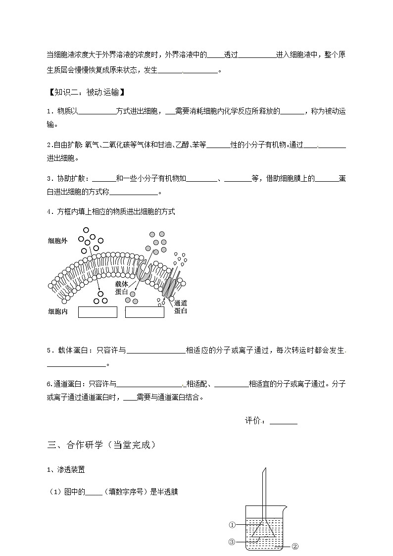 高中生物第一册 (学案)第四章第1节被动运输第2页
