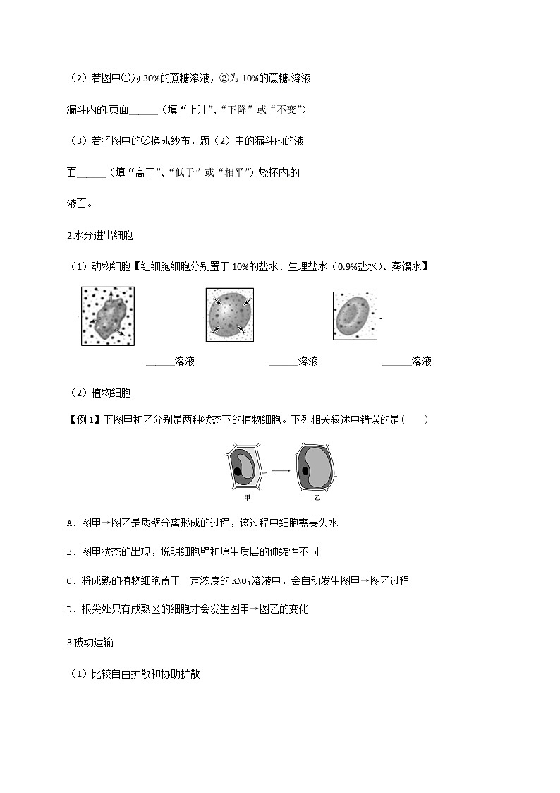 高中生物第一册 (学案)第四章第1节被动运输第3页