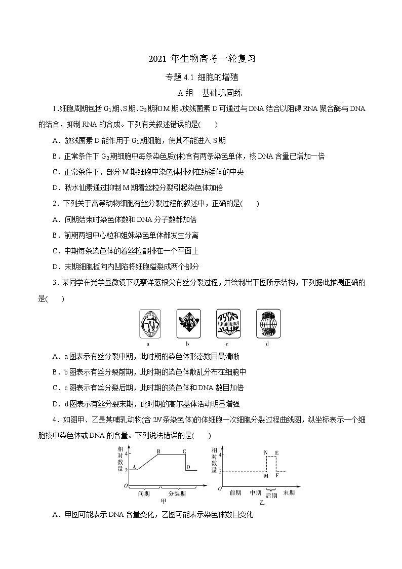 高中生物高考专题4 1 细胞的增殖（必刷试题）-2021年高考生物大一轮复习紧跟教材（原卷版）第1页