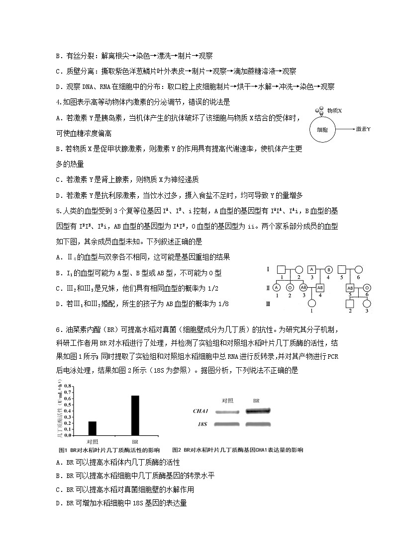 高中生物高考陕西省黄陵县中学2019届高三生物5月模拟考试试题02