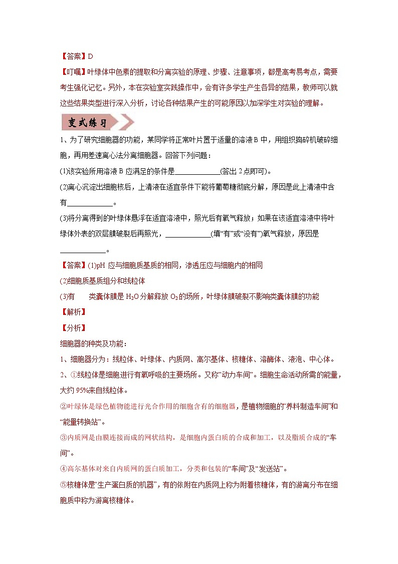 高中生物高考易错点03 细胞的代谢2（光合与呼吸）-2021年高考生物一轮复习易错题（教师版含解析）第2页