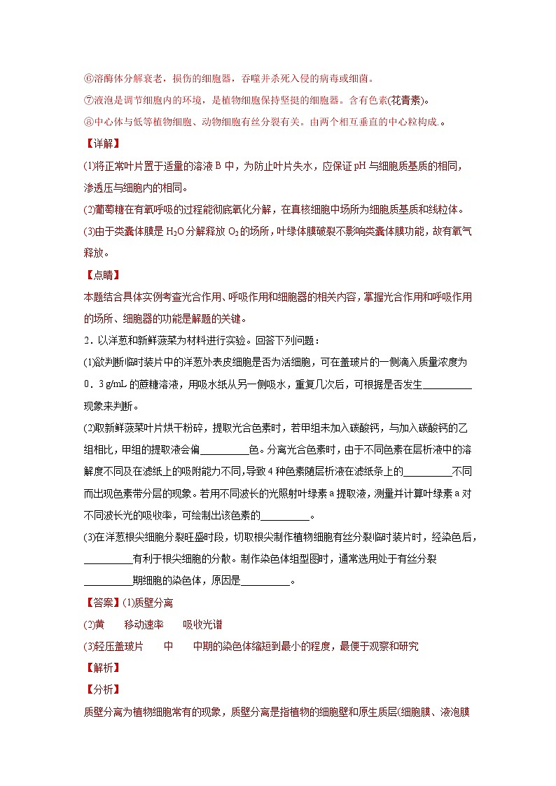 高中生物高考易错点03 细胞的代谢2（光合与呼吸）-2021年高考生物一轮复习易错题（教师版含解析）第3页