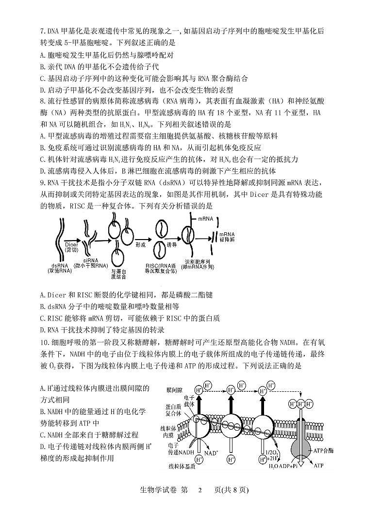 2023届辽宁省丹东市高三总复习质量测试（一）生物试题02