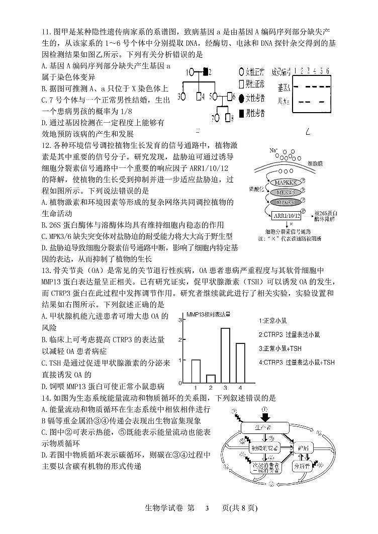2023届辽宁省丹东市高三总复习质量测试（一）生物试题03