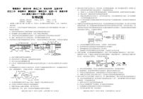 2023届高三湖北省十一校第二次联考 生物试题