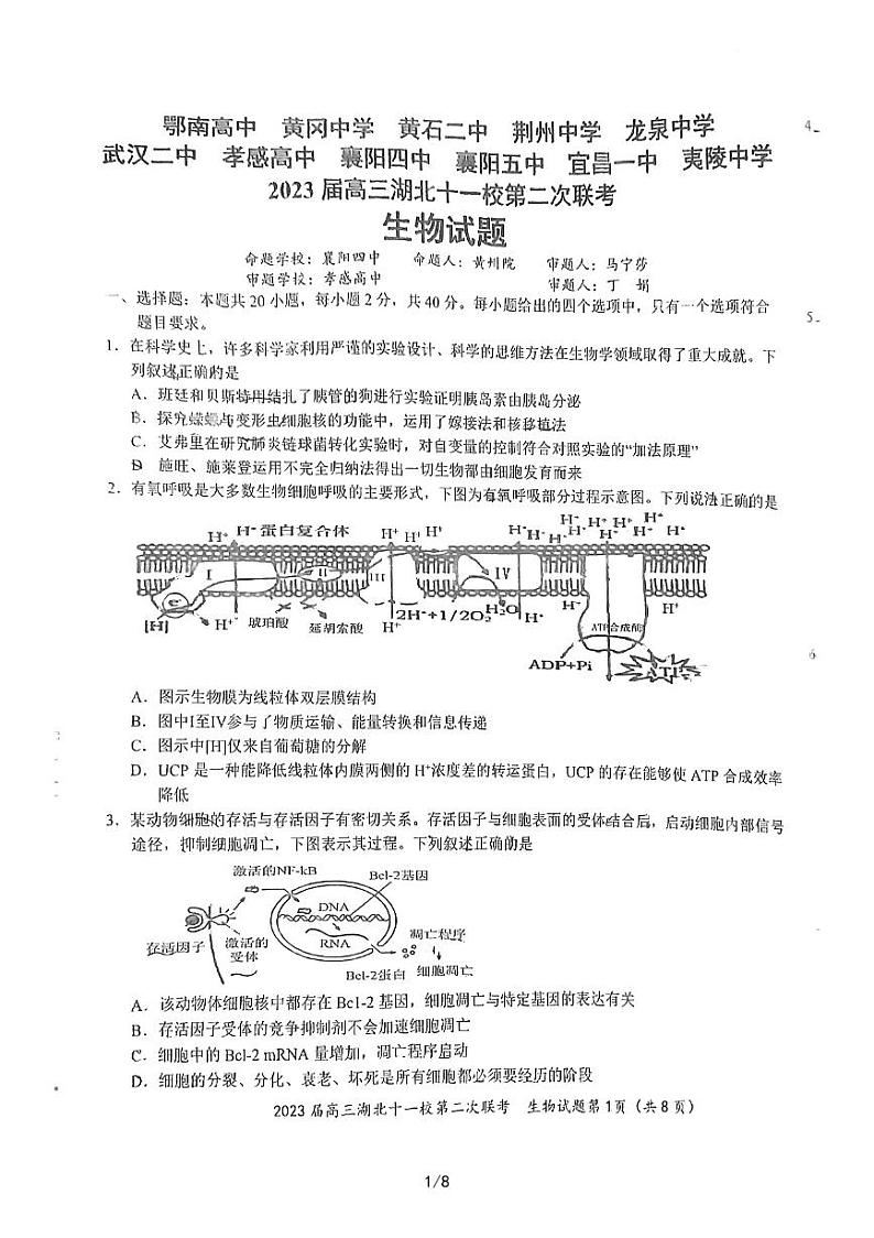 2023湖北省十一校高三第二次联考生物试题扫描版含答案01