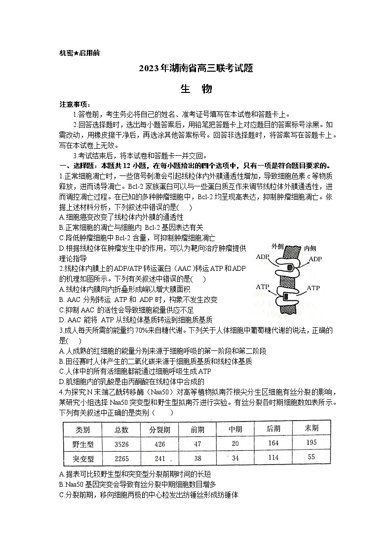 2023衡阳高三下学期第二次联考（二模）生物试题含答案01
