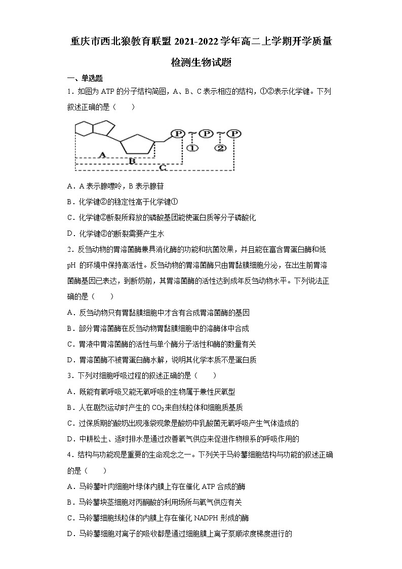 2021-2022学年重庆市西北狼教育联盟高二上学期开学质量检测生物试题01