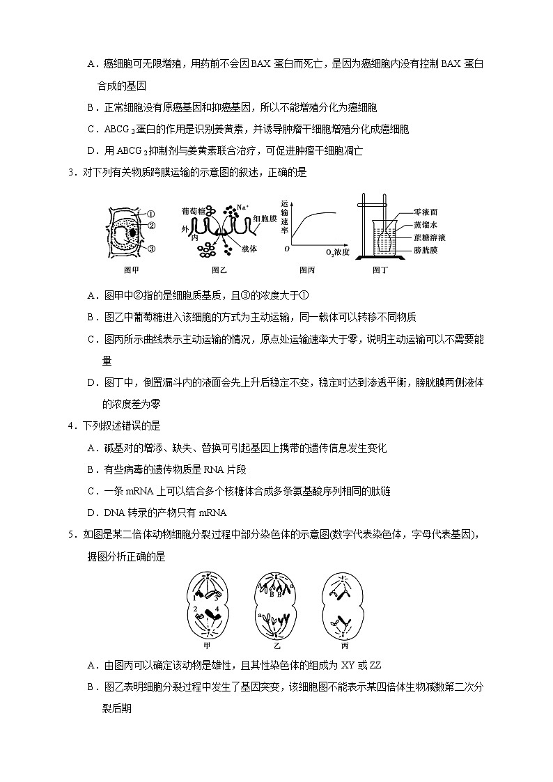 【高考生物模拟】高考名校仿真模拟联考试题（新课标全国卷）（04）02