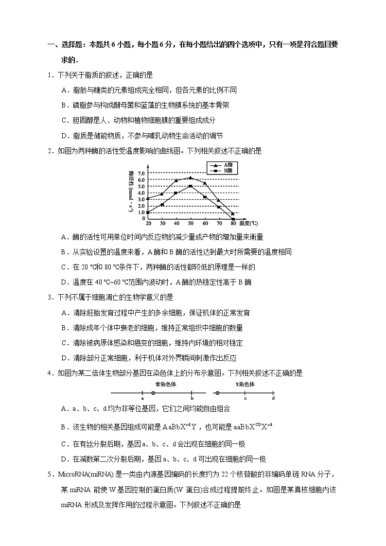【高考生物模拟】高考名校仿真模拟联考试题（新课标全国卷）（08）02