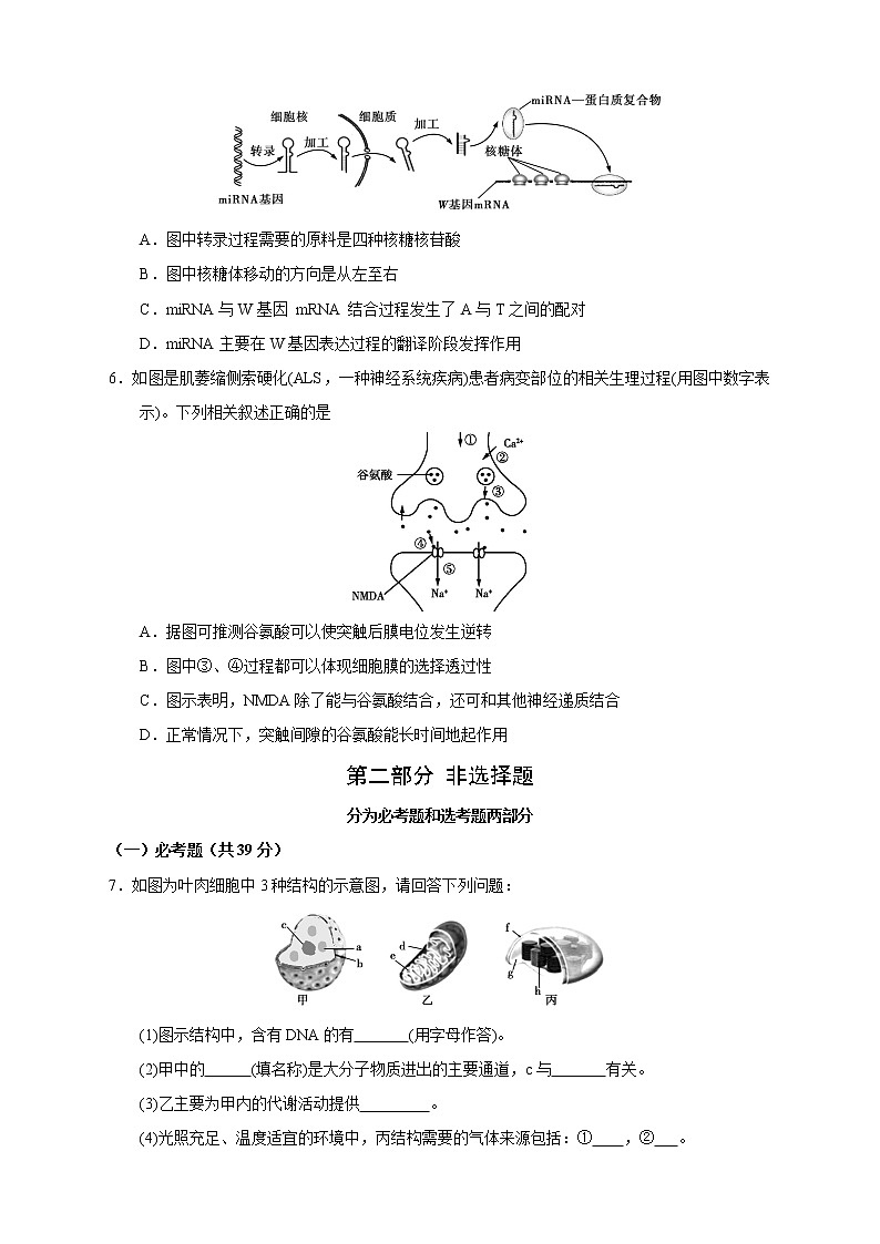 【高考生物模拟】高考名校仿真模拟联考试题（新课标全国卷）（08）03