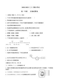 2022-2023学年四川省眉山市高一上学期期末教学质量检测生物试题含答案