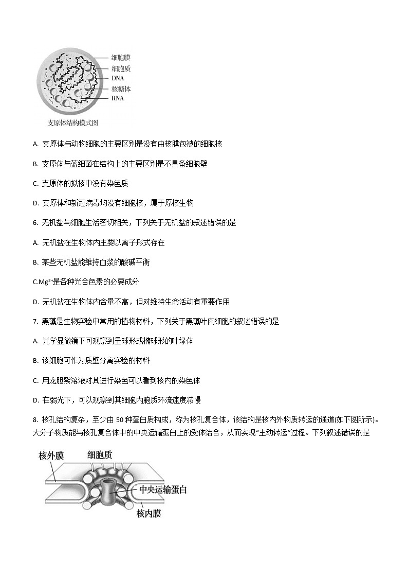 浙江省衢州市2022-2023学年高一上学期期末生物试题含答案02