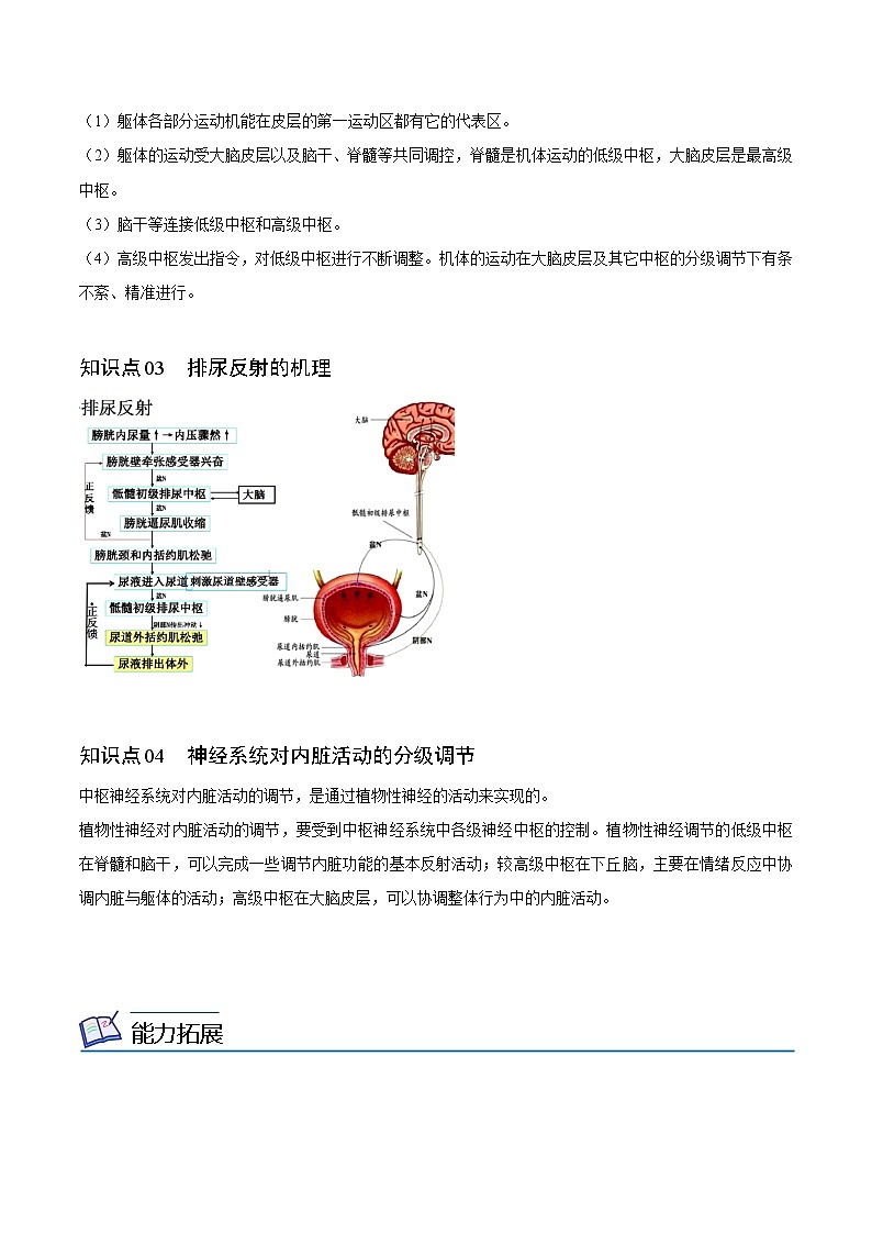 2.4 神经系统的分级调节（教师版）-高二生物同步精品讲义（人教版2019选择性必修1）第2页
