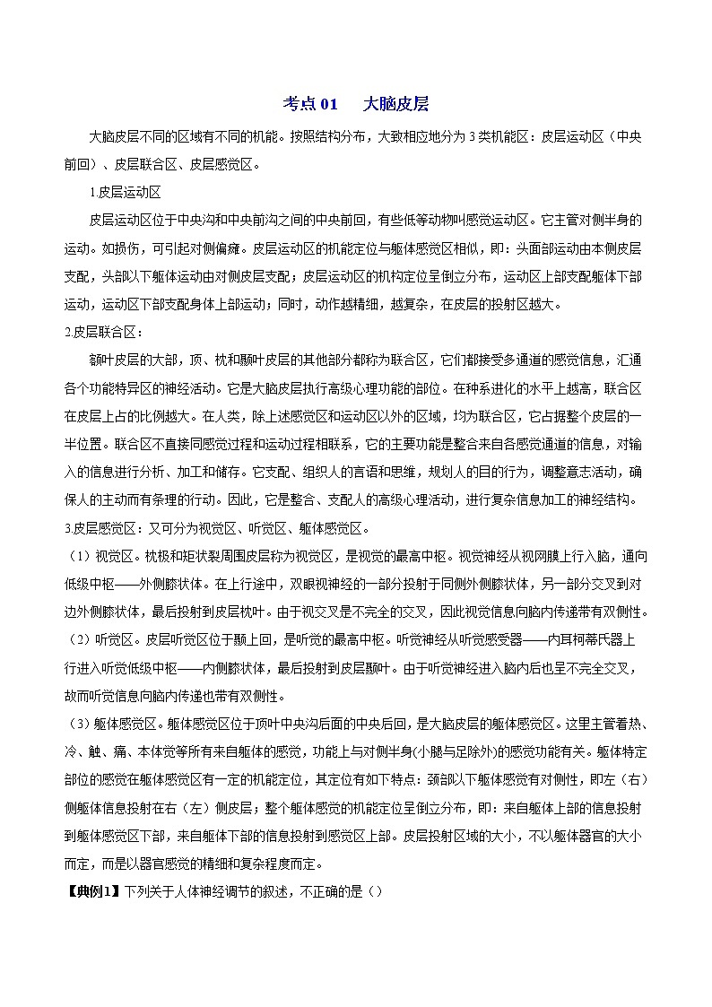 2.4 神经系统的分级调节（教师版）-高二生物同步精品讲义（人教版2019选择性必修1）第3页