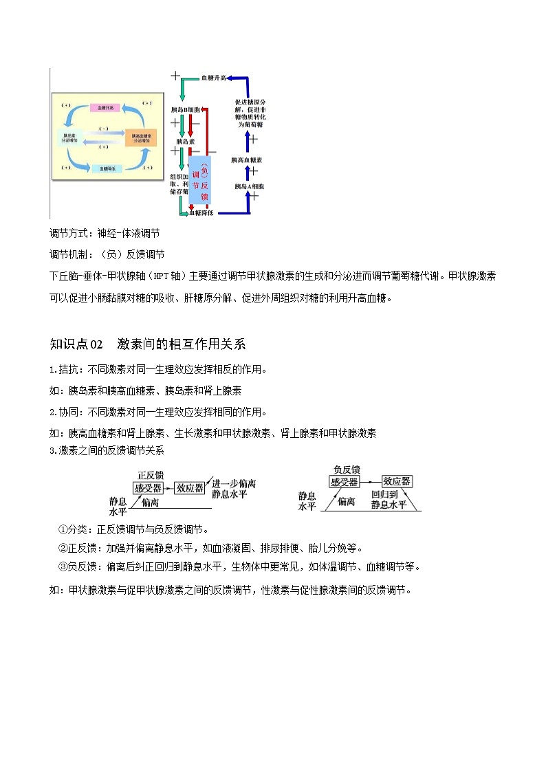 3.2 激素调节的过程（教师版）-高二生物同步精品讲义（人教版2019选择性必修1）02