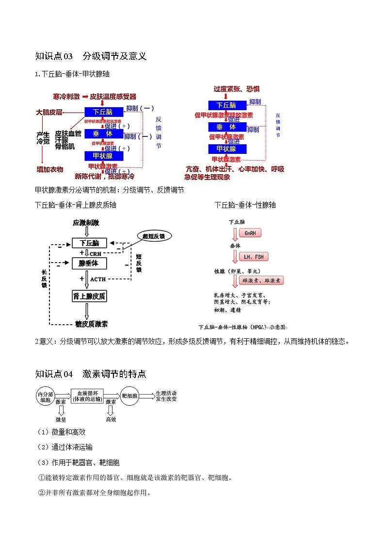 3.2 激素调节的过程（教师版）-高二生物同步精品讲义（人教版2019选择性必修1）03
