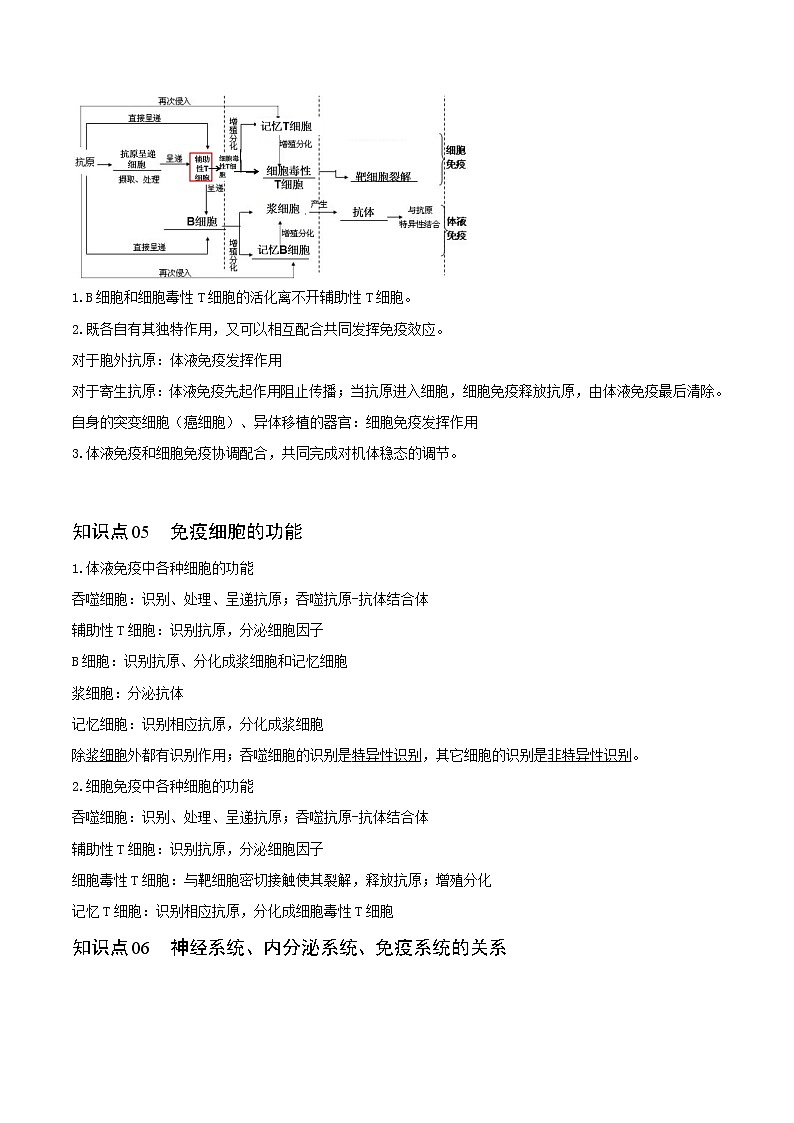 4.2 特异性免疫（教师版）-高二生物同步精品讲义（人教版2019选择性必修1）03