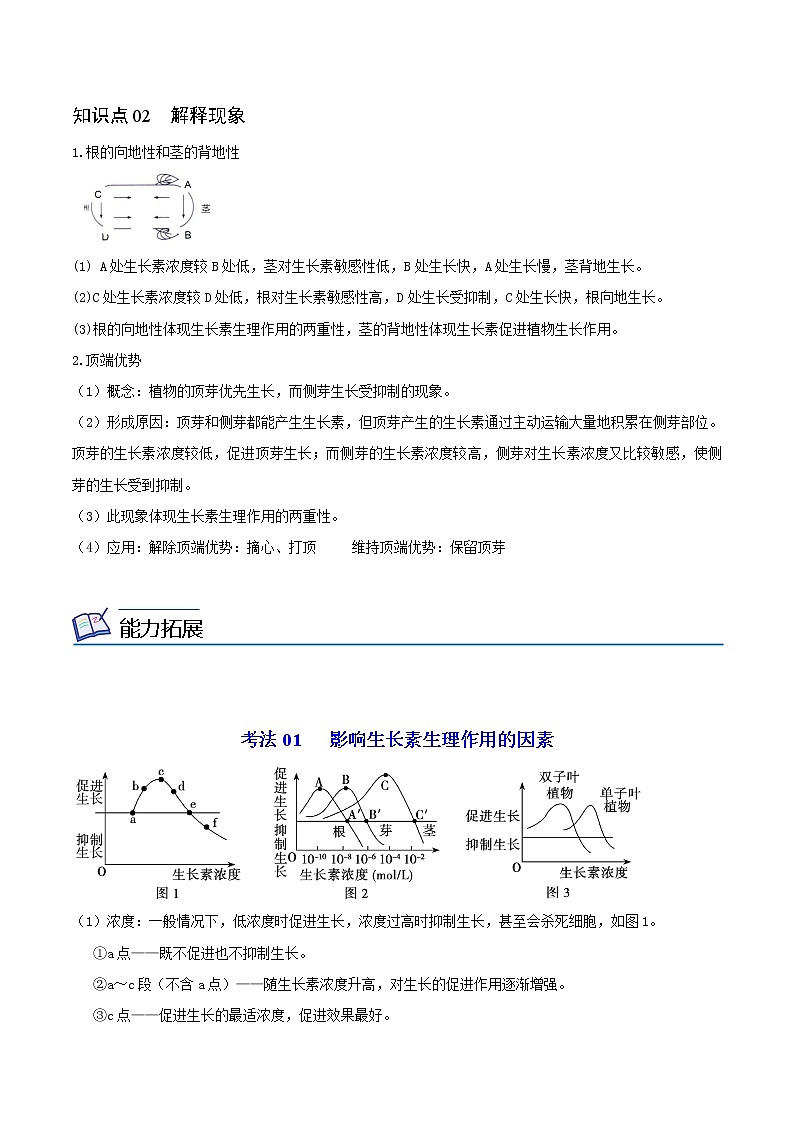 5.1 植物生长素（第2课时）（教师版）-高二生物同步精品讲义（人教版2019选择性必修1）02