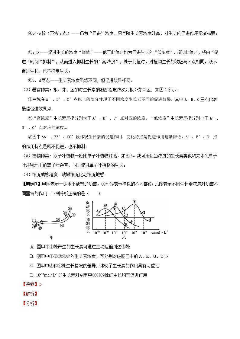 5.1 植物生长素（第2课时）（教师版）-高二生物同步精品讲义（人教版2019选择性必修1）03