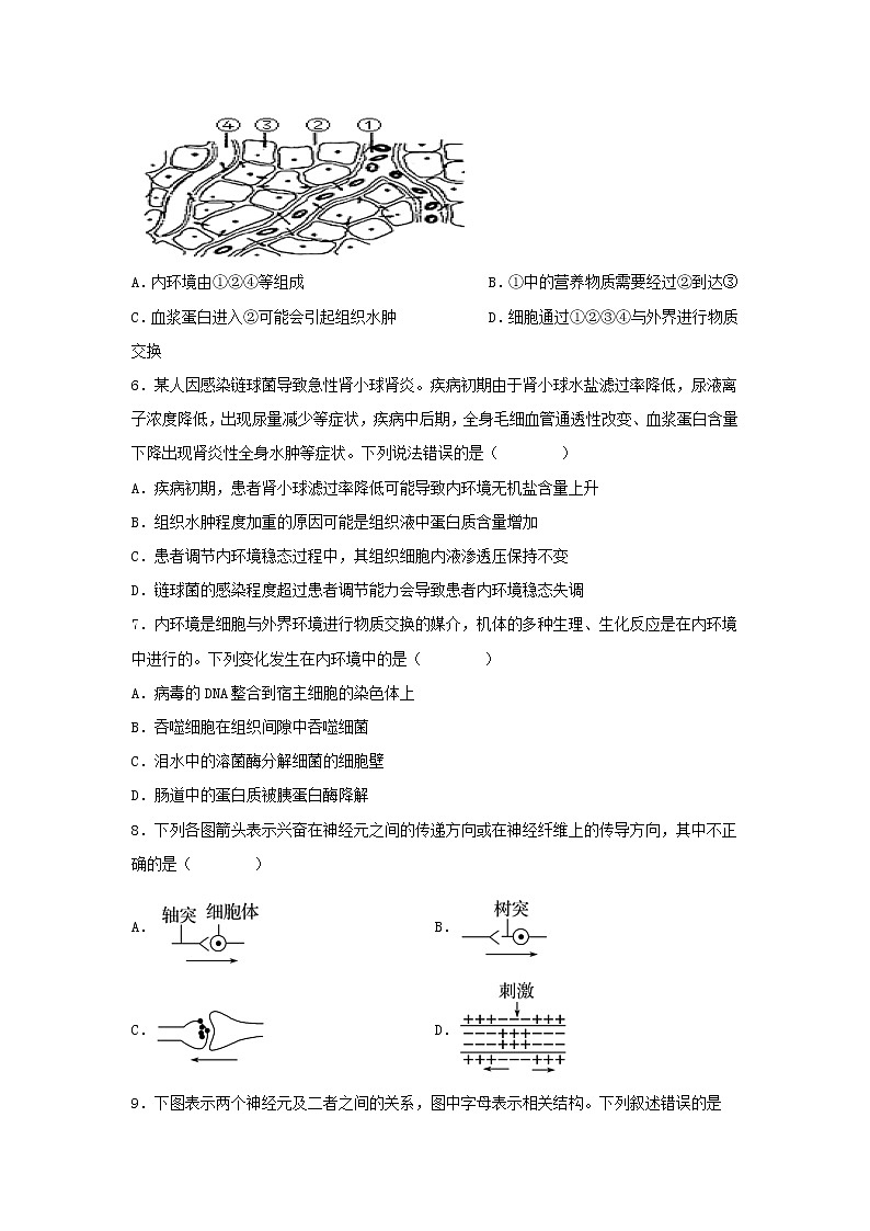 2022-2023学年黑龙江省勃利县高级中学高二上学期9月月考生物试题含答案02