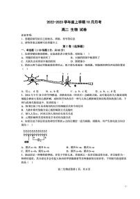 2022-2023学年辽宁省大连市部分重点高中高二上学期10月月考生物试题PDF版含答案