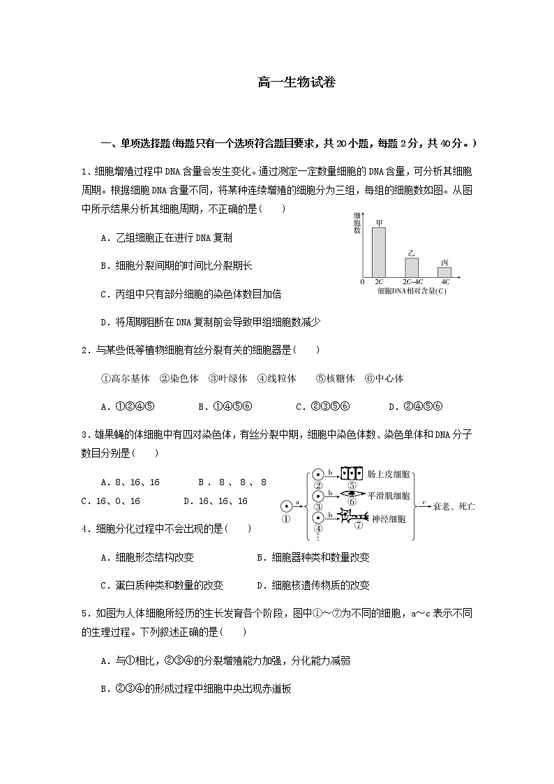 2022-2023学年辽宁省丹东市凤城市第一中学高一下学期3月月考生物含答案第1页