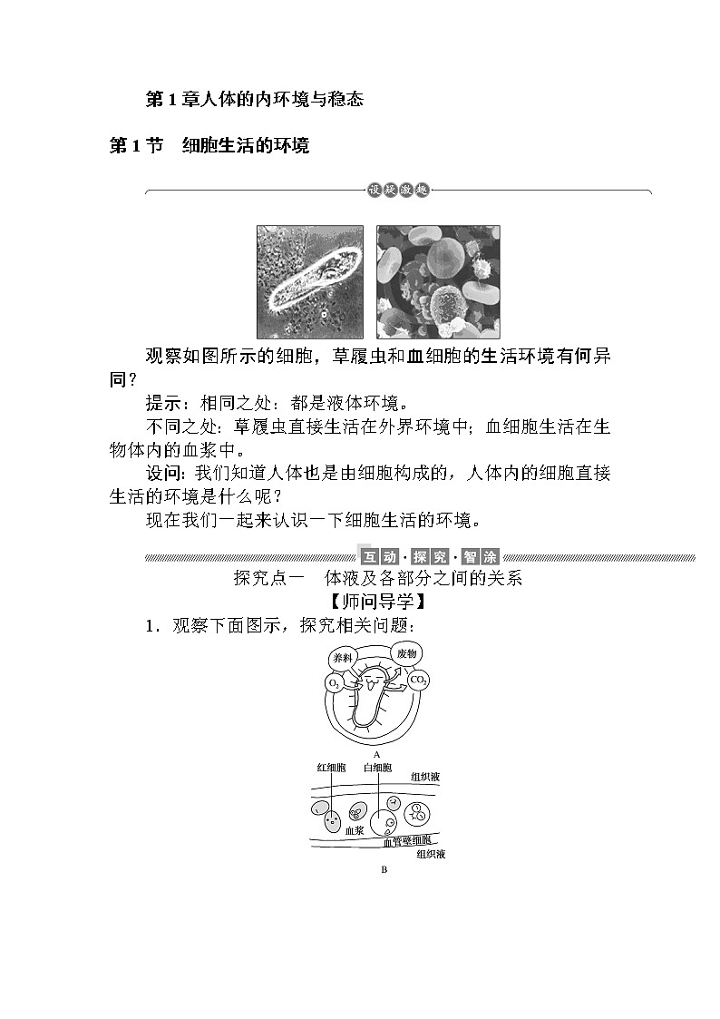 1.1细胞生活的环境 试卷01