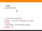 2.2神经调节的基本方式课件PPT