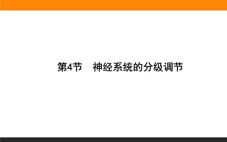 2.4神经系统的分级调节课件PPT01