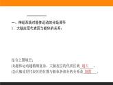 2.4神经系统的分级调节课件PPT