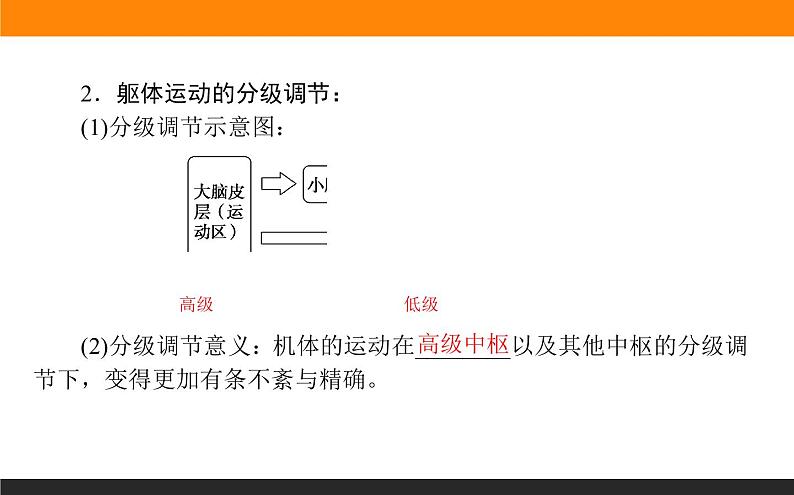 2.4神经系统的分级调节课件PPT03