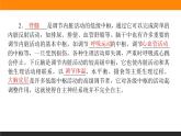 2.4神经系统的分级调节课件PPT
