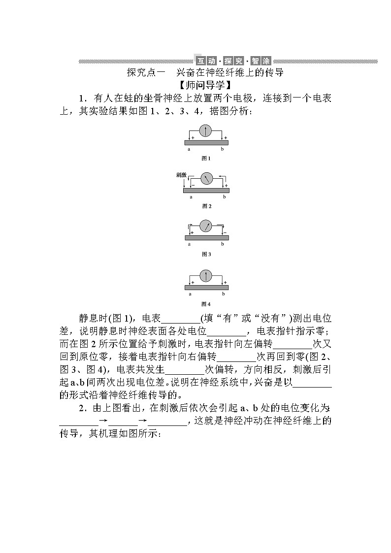 2.3神经冲动的产生和传导 试卷02