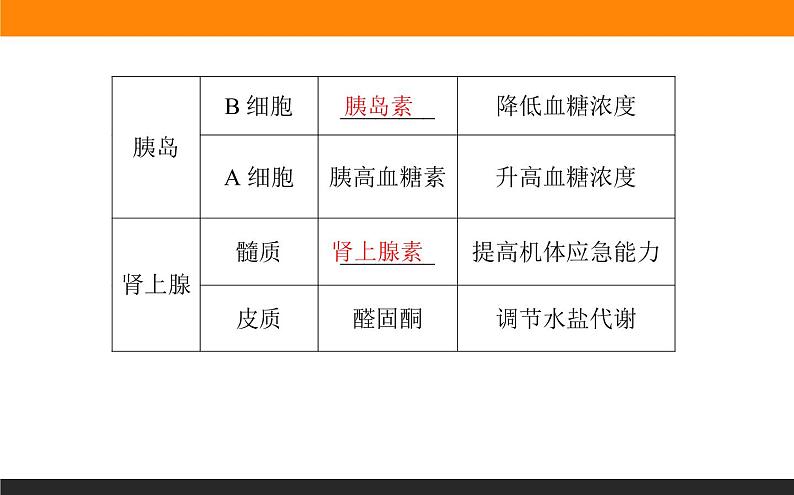 3.1激素与内分泌系统课件PPT第7页