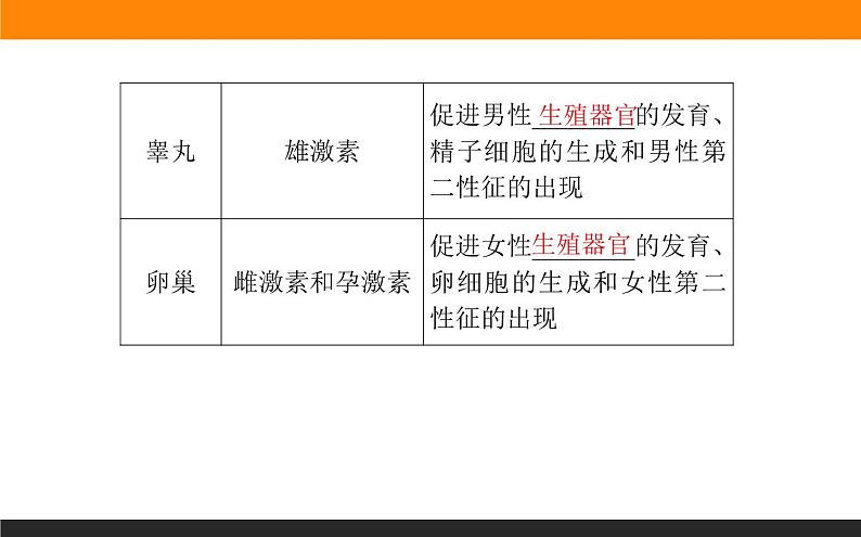 3.1激素与内分泌系统课件PPT第8页