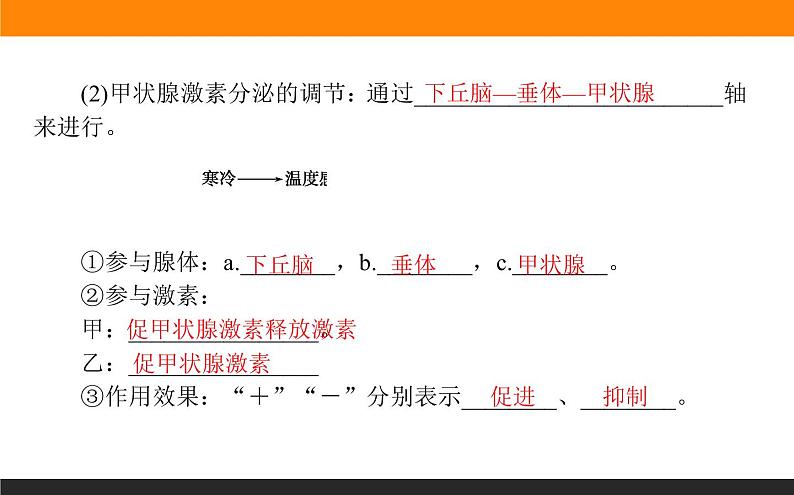 3.2激素调节的过程课件PPT第8页