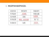 3.3体液调节与神经调节的关系课件PPT
