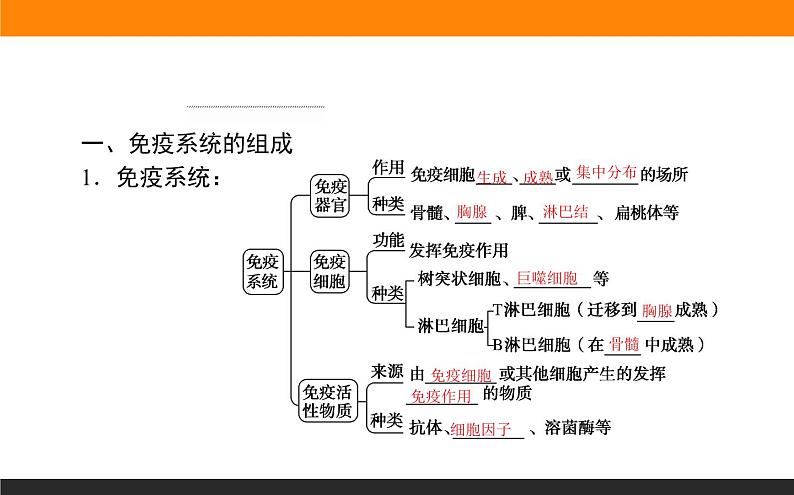 4.1免疫系统的组成和功能课件PPT02