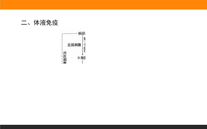 4.2特异性免疫课件PPT第3页