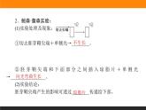 5.1植物生长素课件PPT