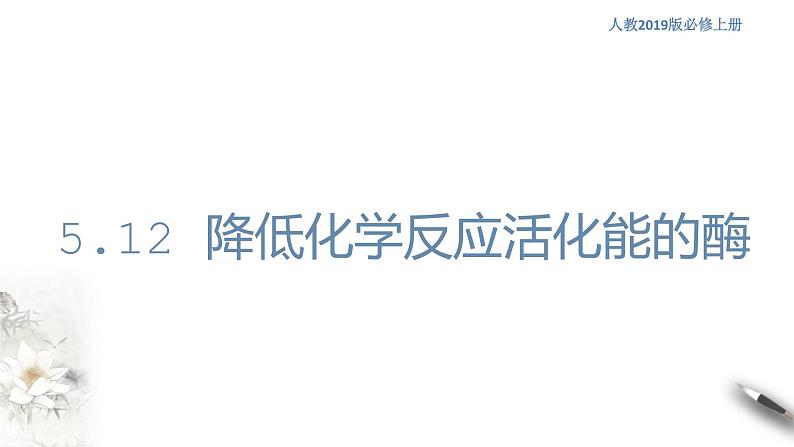 高中生物第一册 5 1 2 降低化学反应活化能的酶 课件第1页