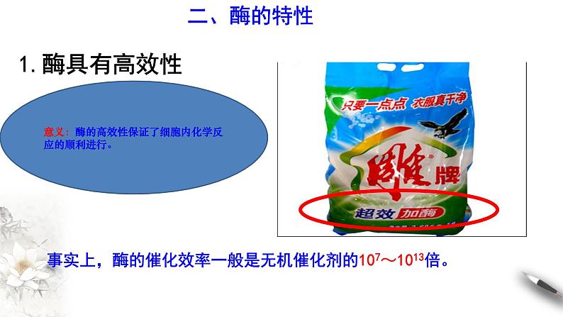 高中生物第一册 5 1 2 降低化学反应活化能的酶 课件第2页