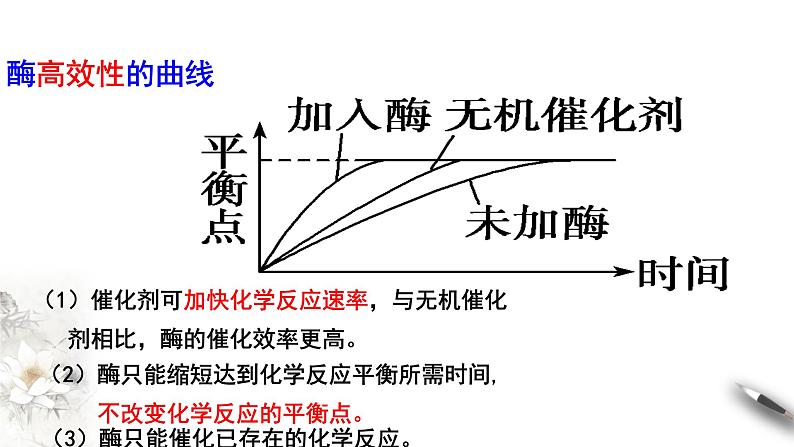 高中生物第一册 5 1 2 降低化学反应活化能的酶 课件第3页