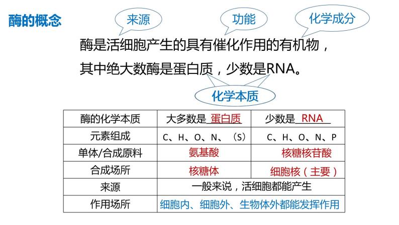 高中生物第一册 5 1降低化学反应活化能的酶 课件05