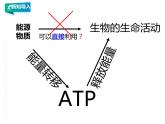 高中生物第一册 5 2细胞的能量“货币“ATP课件PPT