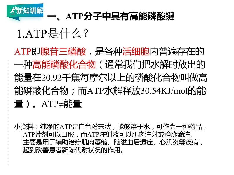 高中生物第一册 5 2细胞的能量“货币“ATP课件PPT第8页